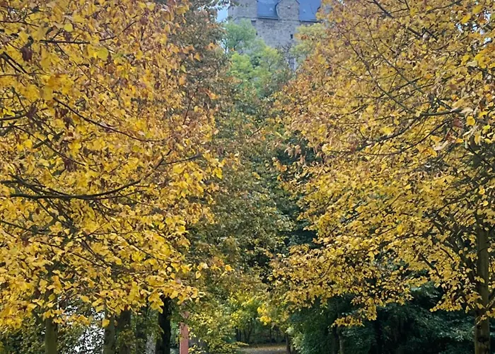 Greta Allee34 Apartamento Ballenstedt